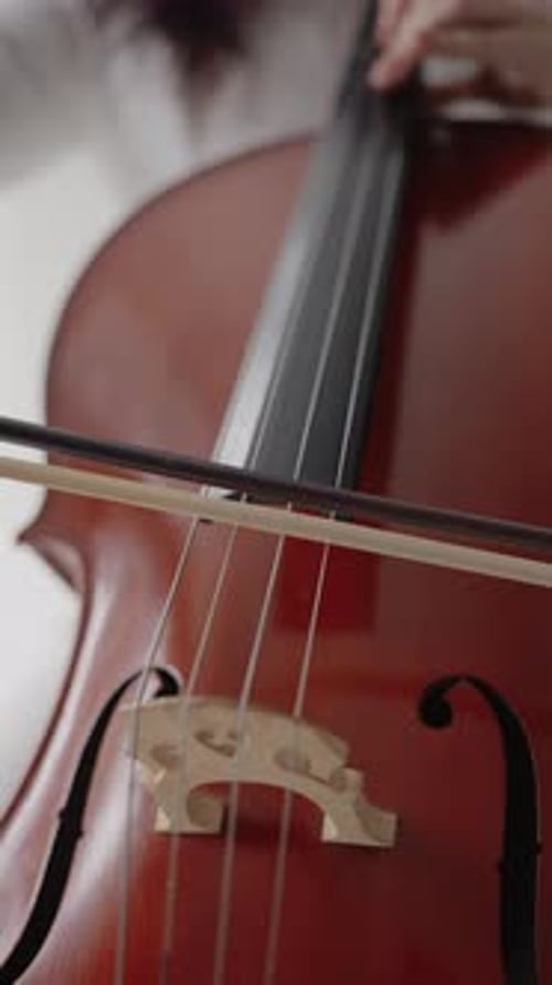 Beautiful Woman Sitting and Playing the Cello in a Studio on a White Background