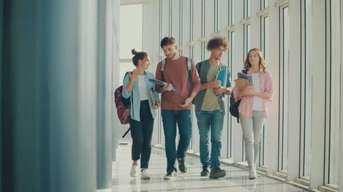 A Group of Students Talking Walking With Books in College Hall
