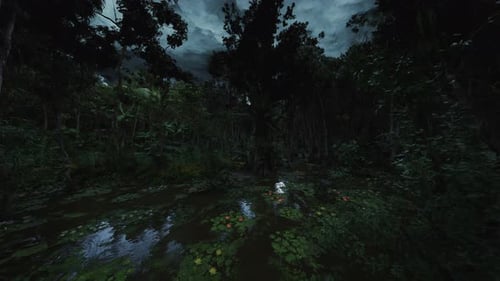 Old Forest Giant Historic Tree Trunk Surrounded By Lush Vines and Mosses