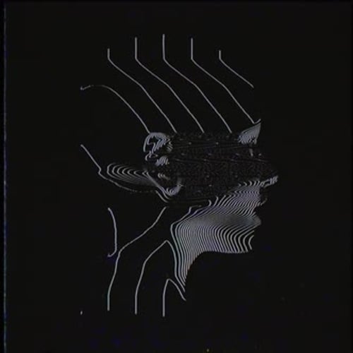 Abstract Wavy Lines Glitch Face Animation