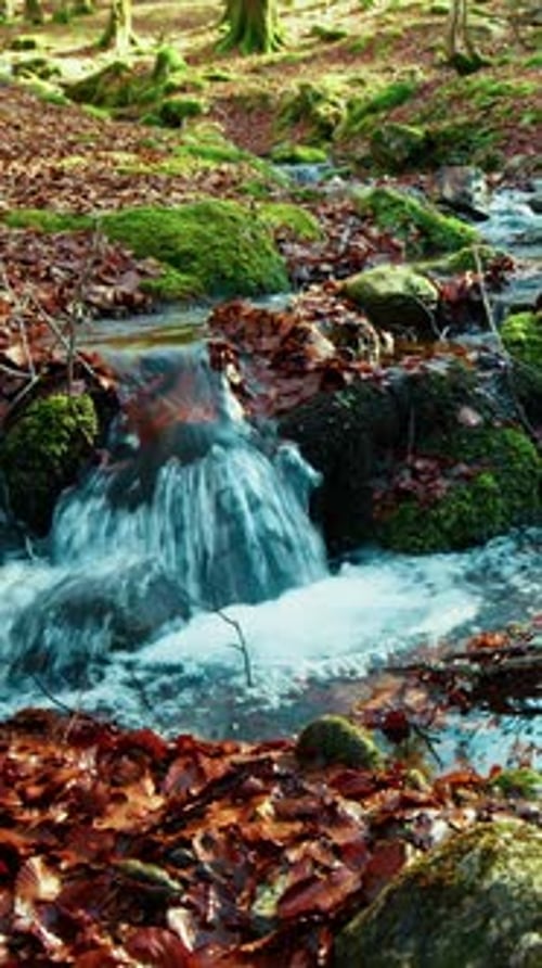 Süßwasser, das in der Herbstsaison im Gebirgsbach fließt, entspannt den Geist