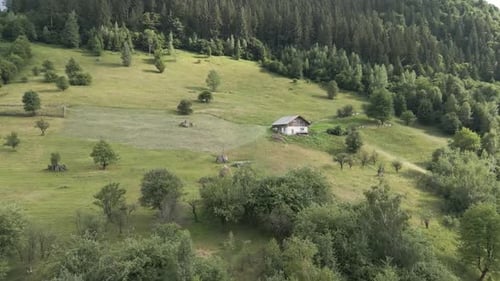 Cute and small white wooden cabin house in a hill surrounded by mountain trees and greenery.