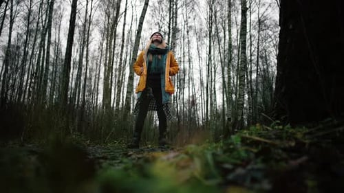 View From Below on Young Woman Stands in Outdoor Forest and Looks Up at Crowns of Tall Trees