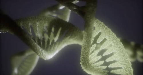 Erkunden Sie die komplizierte Struktur der DNA in einem faszinierenden visuellen Erlebnis