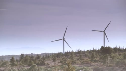 Wind Turbine Power Generator Farm