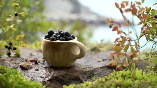 Rustic Mug of Blueberries on Mossy Rock