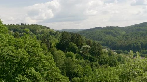 Nature forest landscape, green trees on hills. Beautiful sunny day. Static.