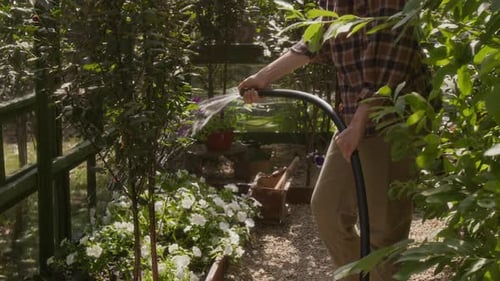 Female Farmer Watering Flowers and Plants in Hothouse with Hose