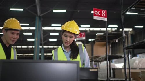 Blue collar workers are working at warehouse.