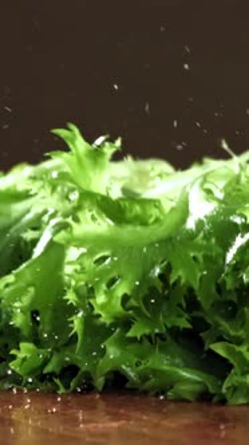 Lettuce Falls on a Cutting Board Filmed on a Highspeed Camera at 1000 Fps