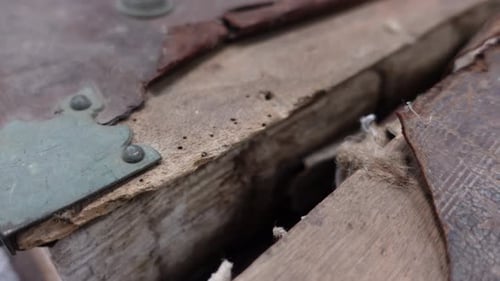 Distressed Antique Trunk Showing Years of Age