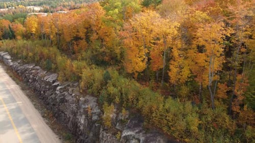 Aerial View of Colorful Autumn Forest Landscape