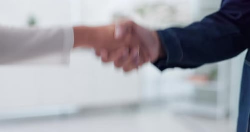 Empresários, aperto de mão e negocie para fechar parcerias, colaborar ou apoiar designers