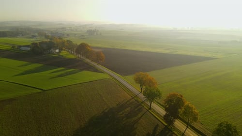 Beautiful aerial flight over rural tree lined road through peaceful green countryside farmland
