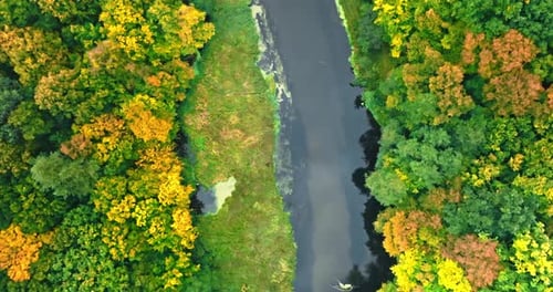 Top down view of river and forest in autumn.