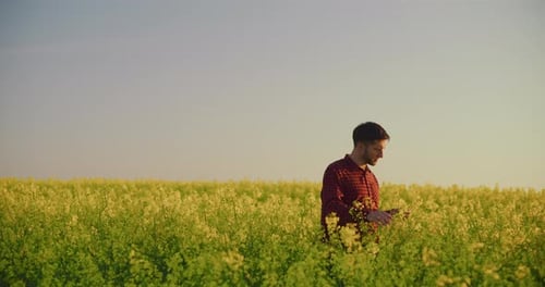 Young Farmer in Blooming Rapeseed Field