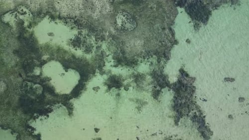 Aerial top down view over clear ocean water reef, sand bank, and algae
