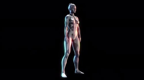 Futuristic 3D Female Model Squats Exercise Animation