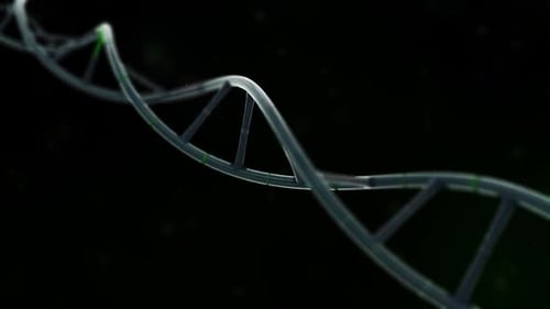 Micro Dna System
