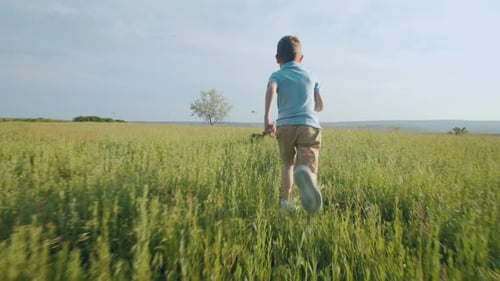 Childhood Freedom: visão traseira de menino correndo em uma paisagem ensolarada