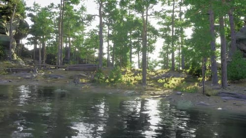 Peaceful Evening with Soft Breeze Around Tranquil Forest Lake