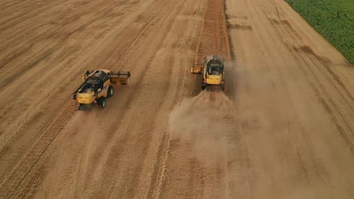 Powerful Combine Harvesters Work in Wheat Field Aerial View
