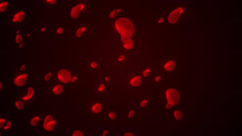 Abstract Animation Of Human Red Blood Cell, Loop Animation Of Blood Cell Moving On The Red Backgroun