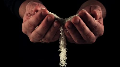 Hands Holding and Releasing Rice in Slow Motion