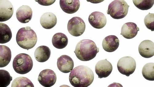 Rotating Turnips Floating on White Background Seamless Loop