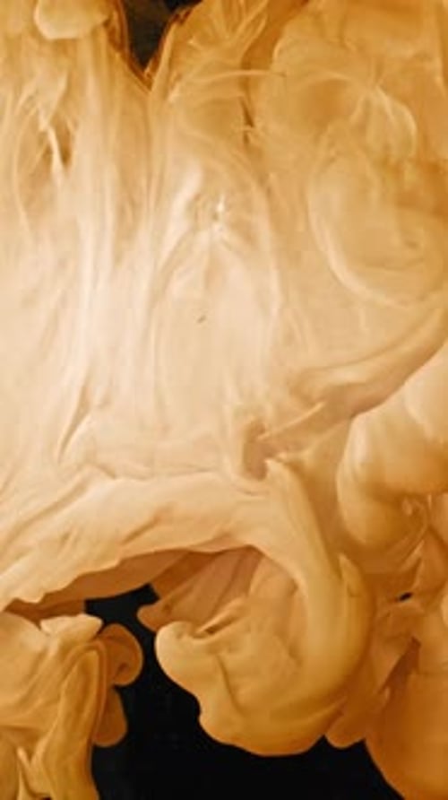 Ink