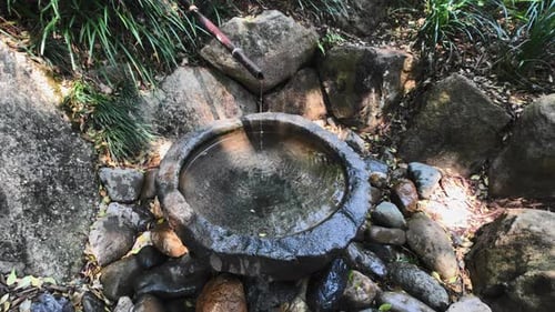 Full Frame Medium shot, Japanese Water Feature, Botanical Gardens, Mt Coot-tha Brisbane