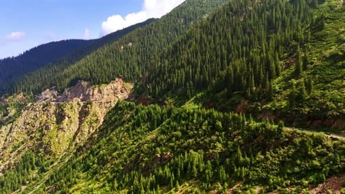 Lush green mountain landscape. Vibrant greenery covers the mountainside
