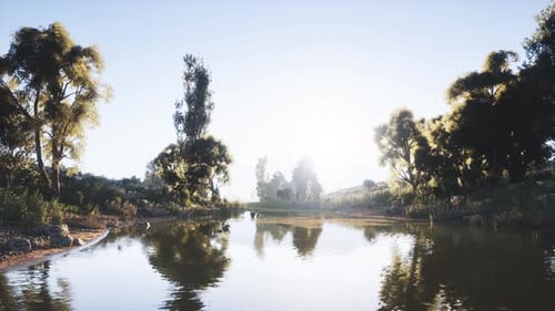 Ruhige Landschaft mit Wasserspiegelung und üppigem Grün bei Sonnenaufgang