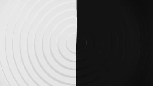 Minimalist Black and White Geometric Transition