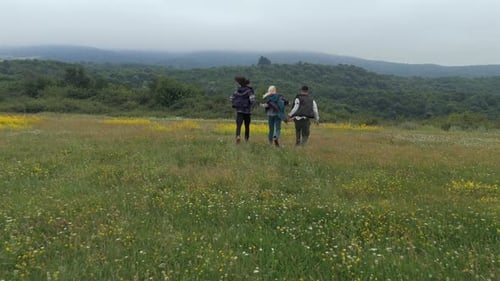 Carefree young people running away from the camera across a beautiful green field of wildflowers, en