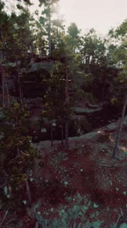 Aerial View of Wooded Area With Rocks and Trees