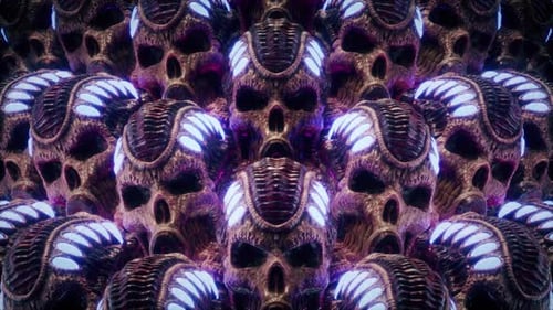 Biomechanical Skull VJ Loop