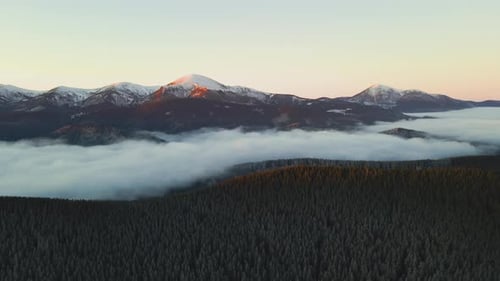 Aerial View of Vibrant Sunrise Over Carpathian Mountain Hills Covered with Evergreen Spruce Forest