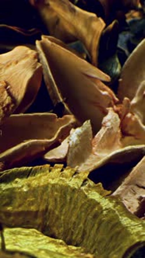 Close Up of Dry Tree Bark Pieces in a Rotating Plate Stock Footage Element of Home Decorating Pieces