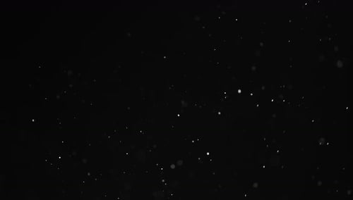 Dust Particles