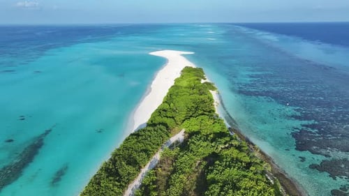 Aerial view of island with white sand and green trees, Maldives.