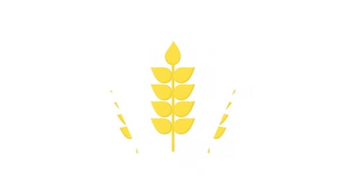 Flat Design Growing Wheat Stalks Animation