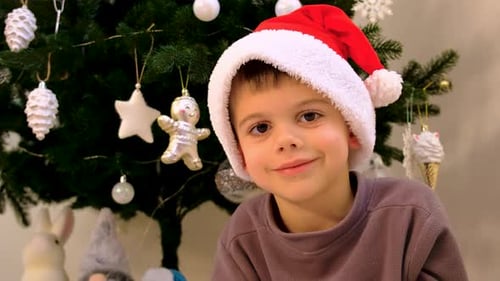 Smiling Boy Wearing Santa Hat Near Christmas Tree