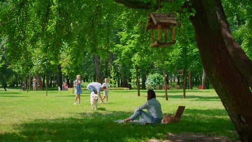 Beautiful Labrador Playing with Happy Family on Park Picnic. Brunette Mother Calling