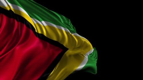 Guyana National Flag Waving Loop