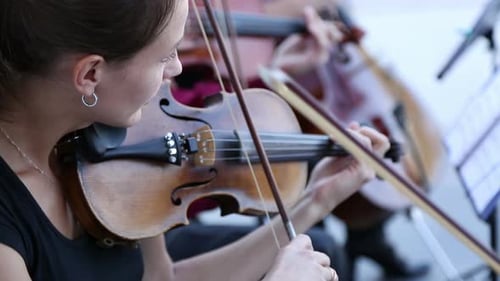 Three Musicians Play on Stringed Musical Instruments