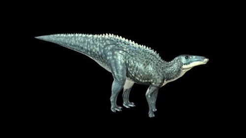 Shantungosaurus Dinosaur Sniff