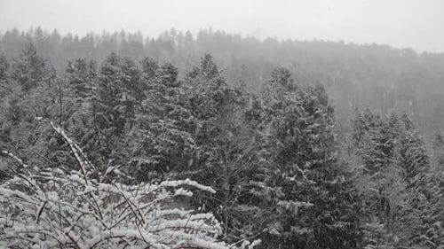 Snow falling heavily on a mountain landscape with trees in winter
