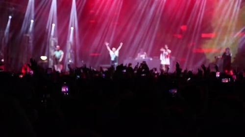 Energetic Concert Performance with Cheering Audience