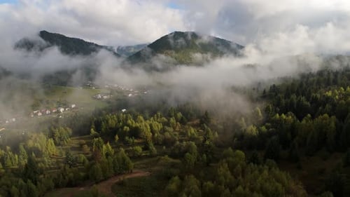 Luftaufnahme der Berggipfel und des Waldtals mit niedrigen Wolken